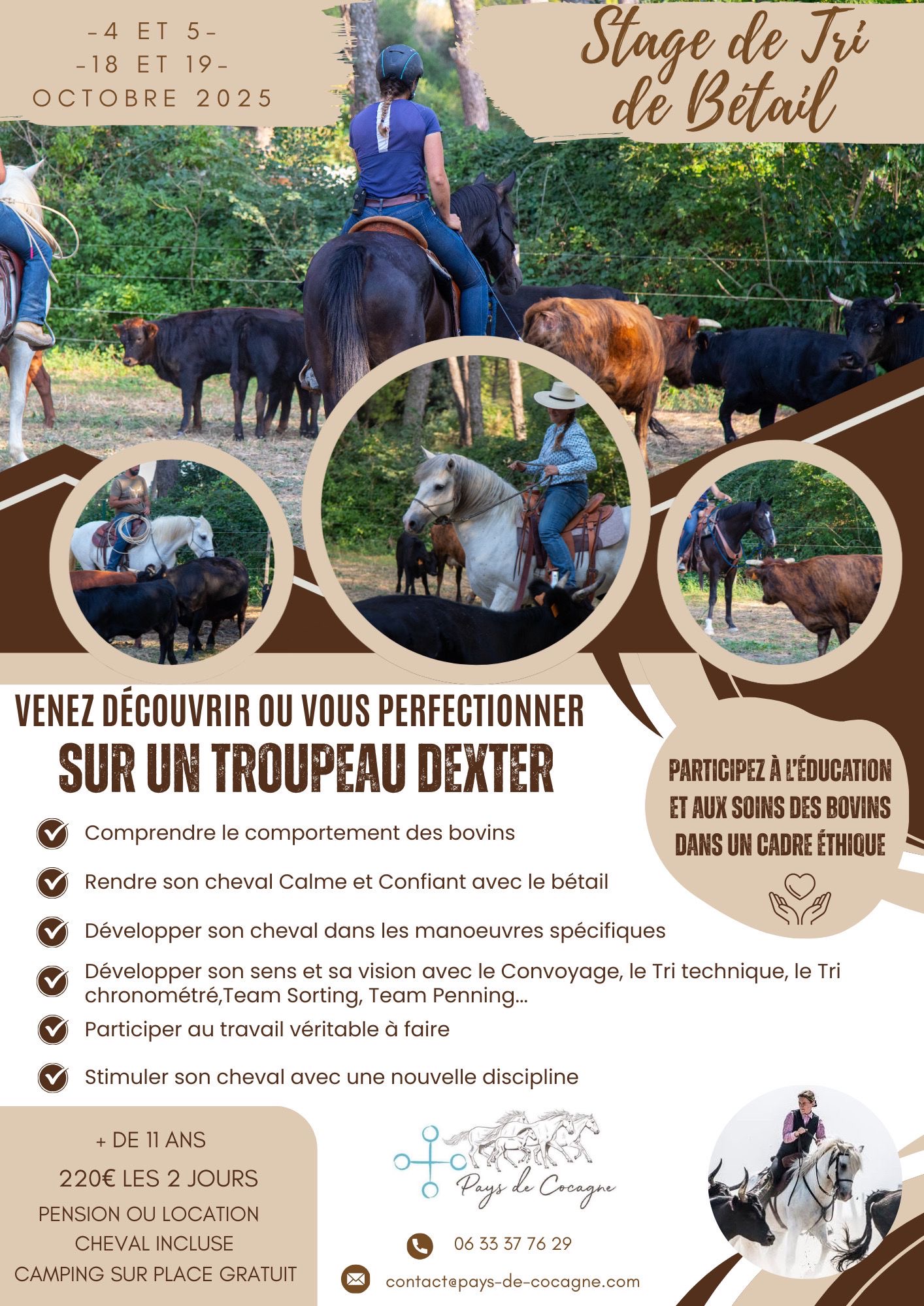 🐃 Travail du Bétail