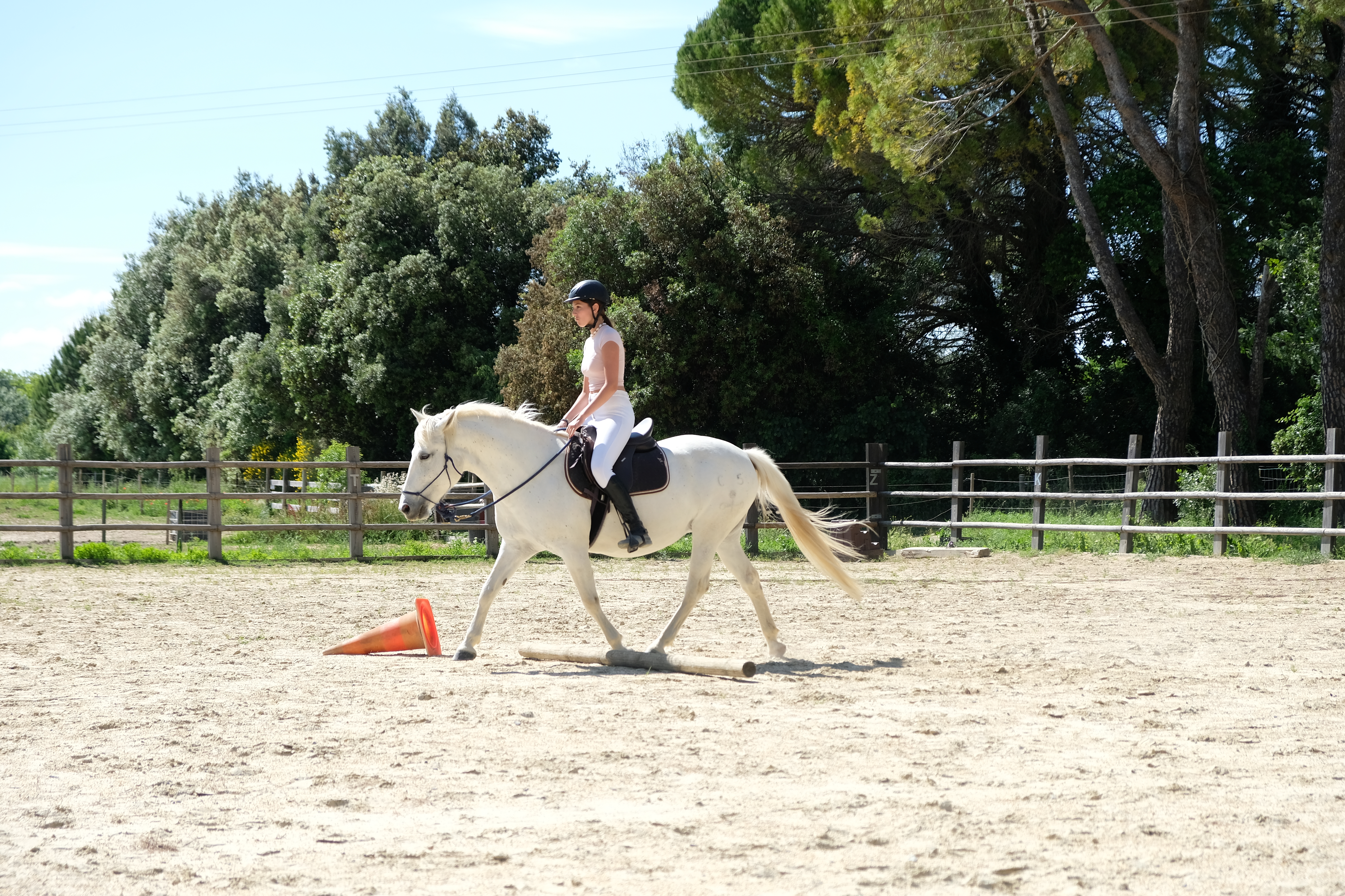 🏇🏻 Stage « à Cheval »