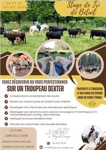 🐃 Travail du Bétail