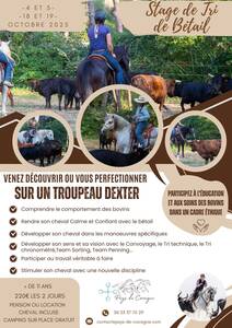 🐃 Travail du Bétail