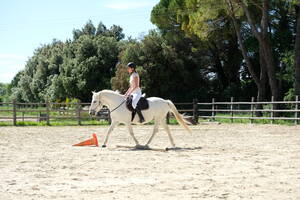 🏇🏻 Stage « à Cheval »